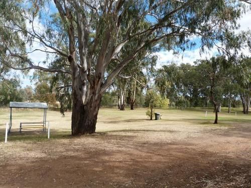 Narrabri Big Sky Caravan Park المظهر الخارجي الصورة
